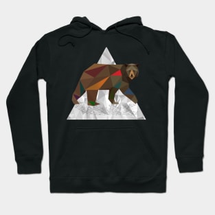 cool bear Hoodie